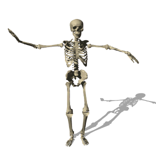Dancing_Skeleton